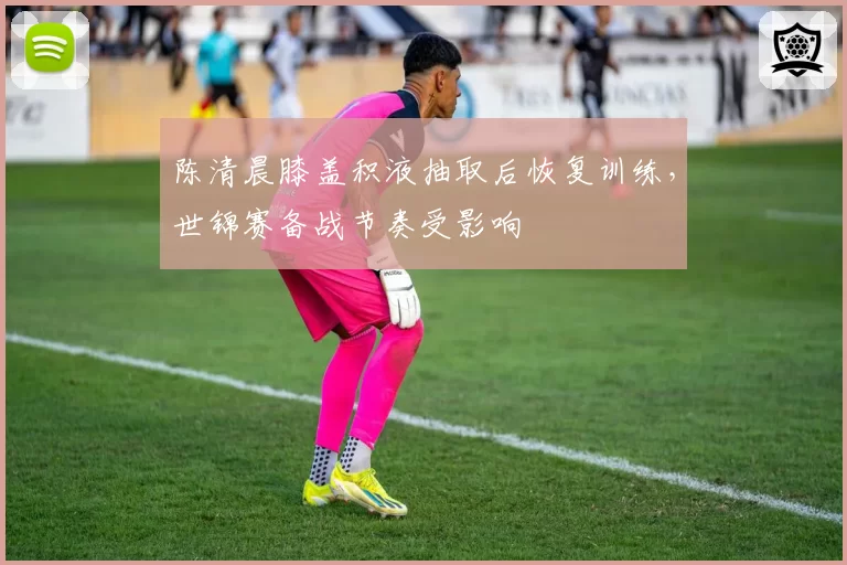 陈清晨膝盖积液抽取后恢复训练,世锦赛备战节奏受影响