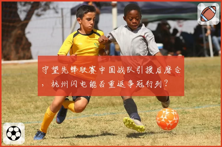 守望先锋联赛中国战队引援后磨合，杭州闪电能否重返争冠行列？