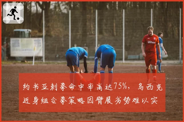 约书亚刺拳命中率高达75%，乌西克近身组合拳策略因臂展劣势难以实施